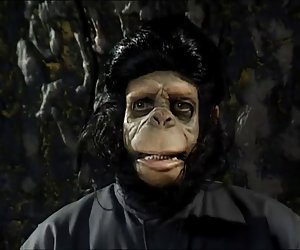 L-asja carerra fil-pjaneta tal-porn apes